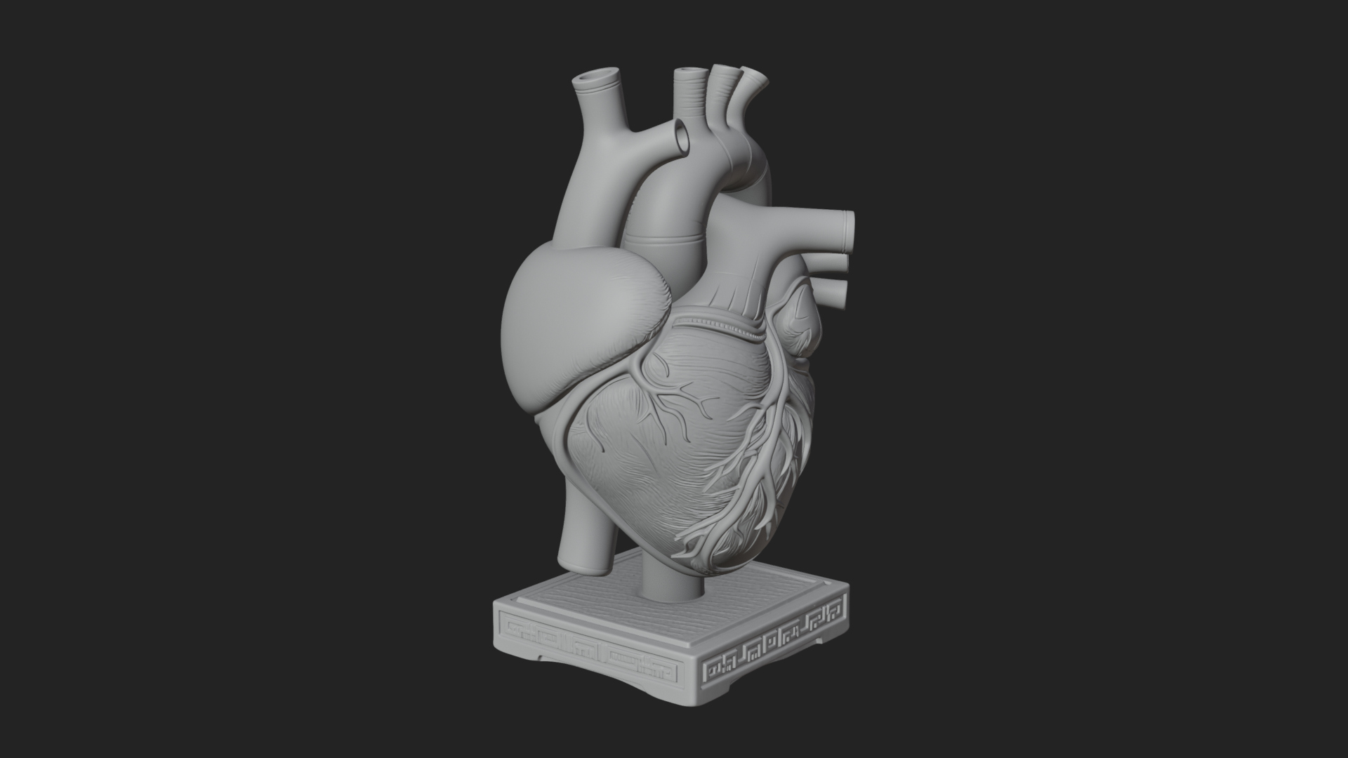 Anatomical Human Heart Model Design 48 3D Print Model 3D Model
