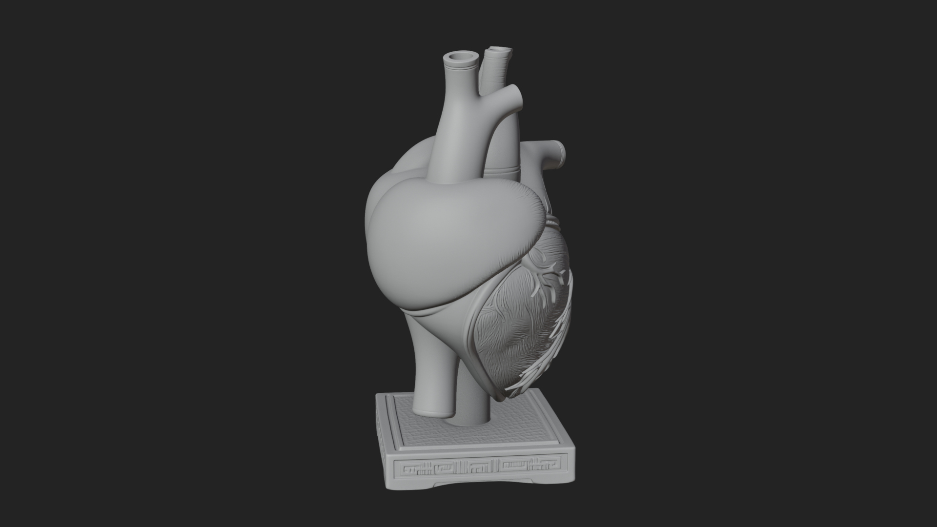 Anatomical Human Heart Model Design 48 3D Print Model 3D Model