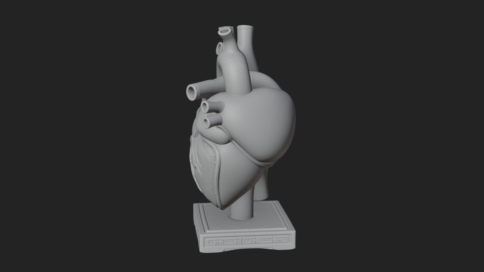 Anatomical Human Heart Model Design 48 3D Print Model 3D Model