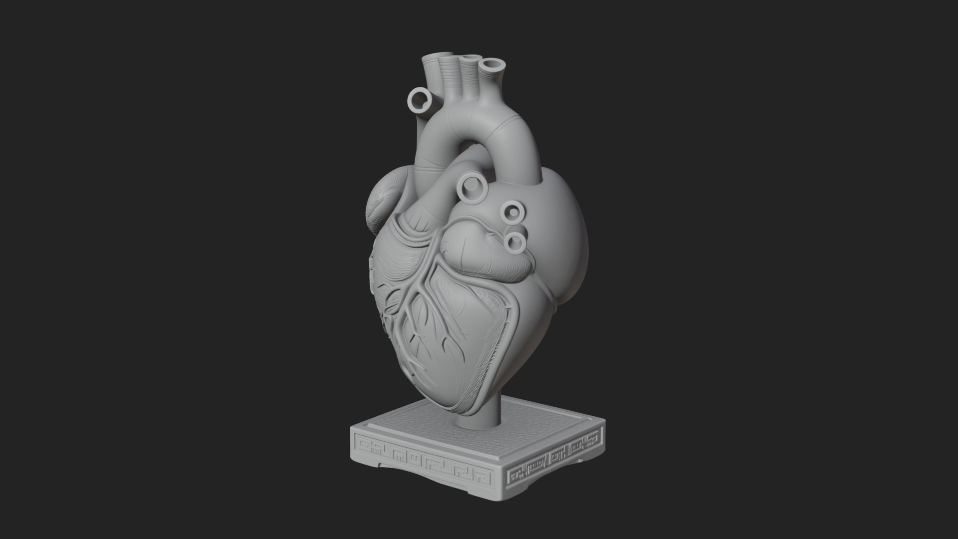 Anatomical Human Heart Model Design 48 3D Print Model 3D Model