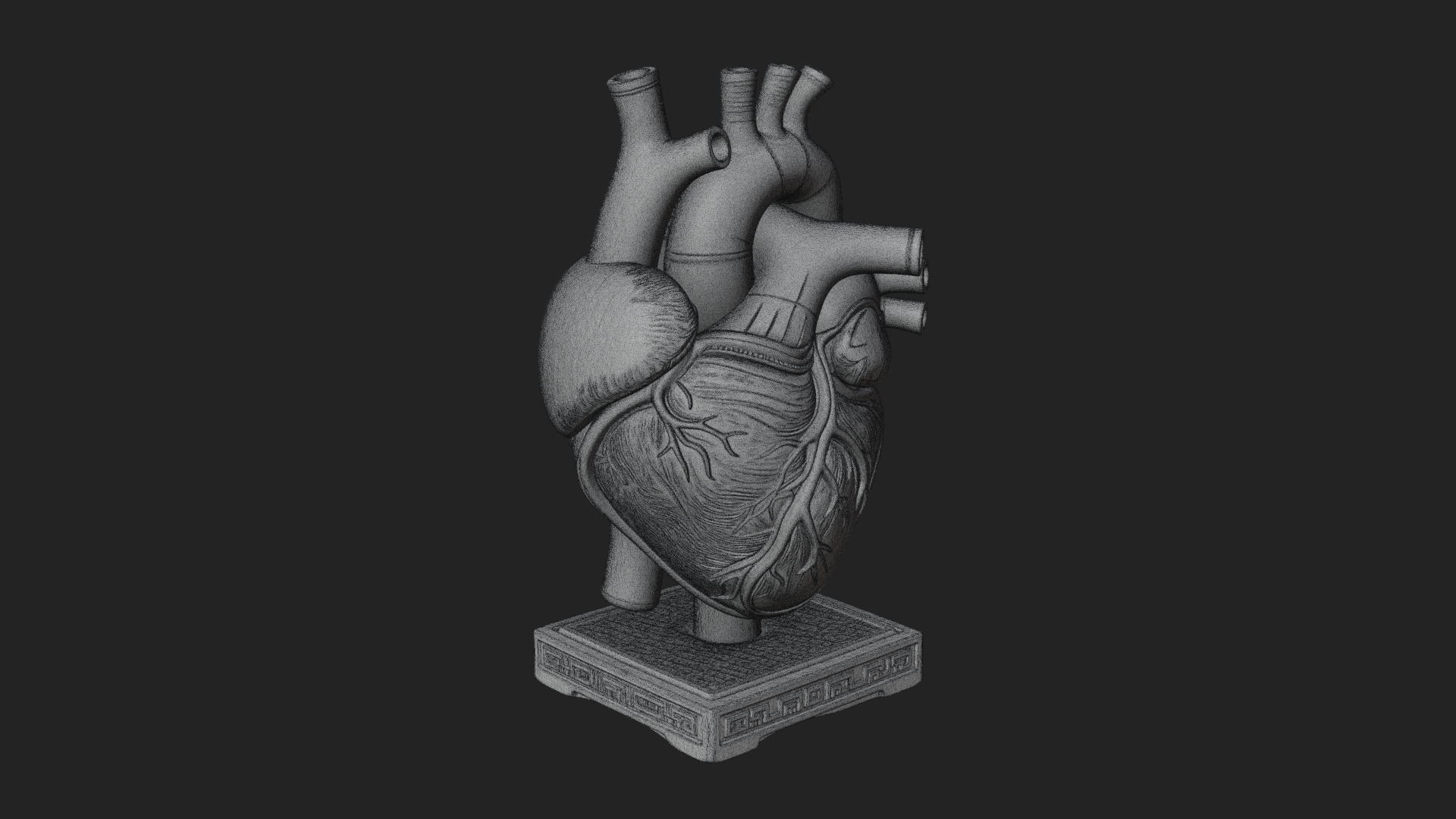 Anatomical Human Heart Model Design 48 3D Print Model 3D Model