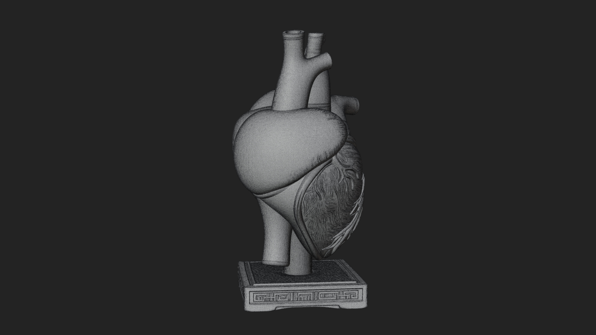 Anatomical Human Heart Model Design 48 3D Print Model 3D Model