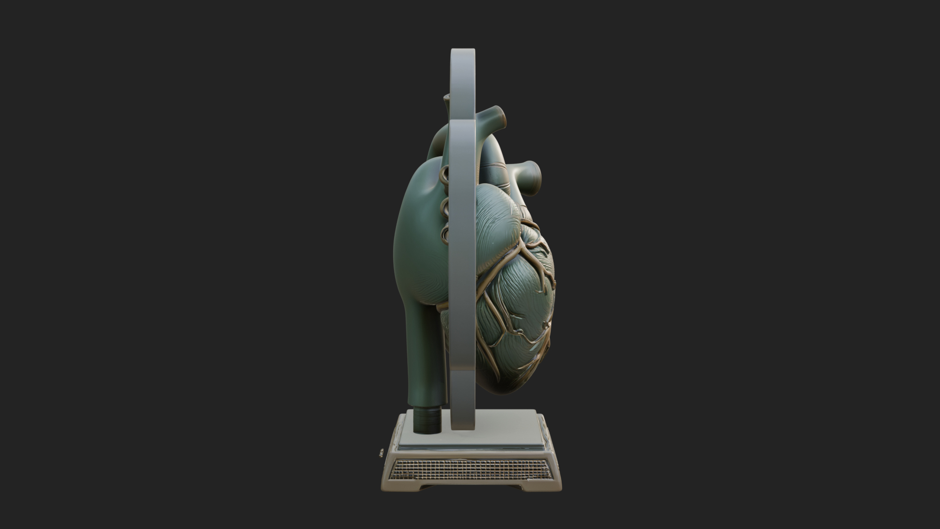 Anatomical Human Heart Model Design 49 3D Print Model 3D Model