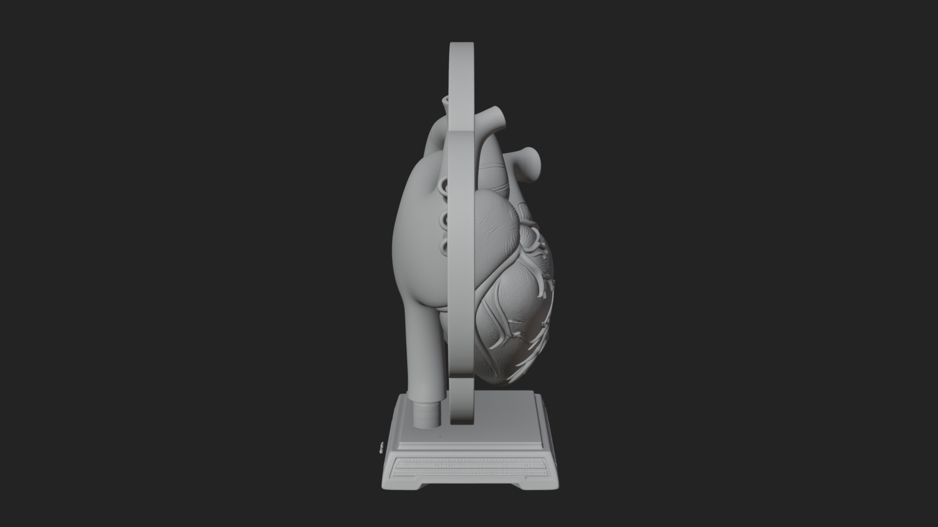 Anatomical Human Heart Model Design 49 3D Print Model 3D Model