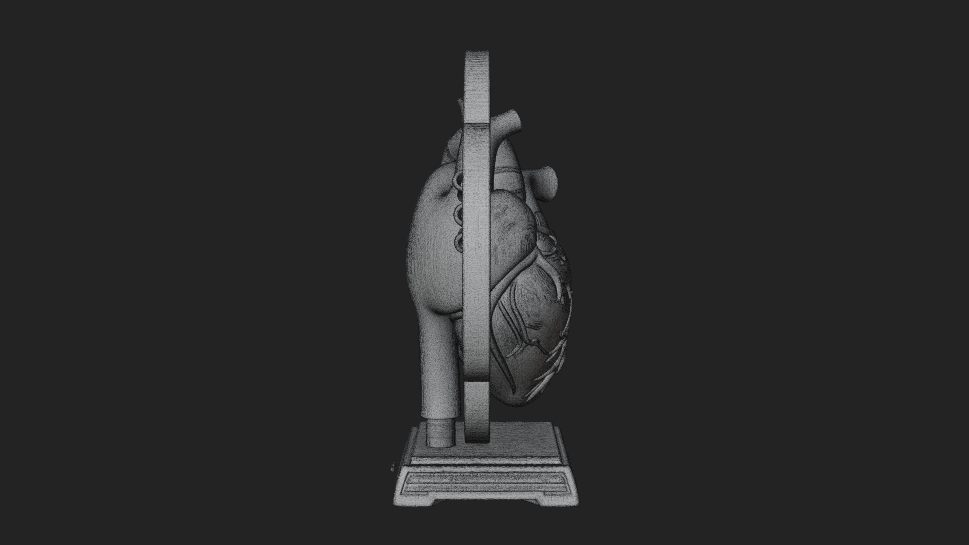 Anatomical Human Heart Model Design 49 3D Print Model 3D Model
