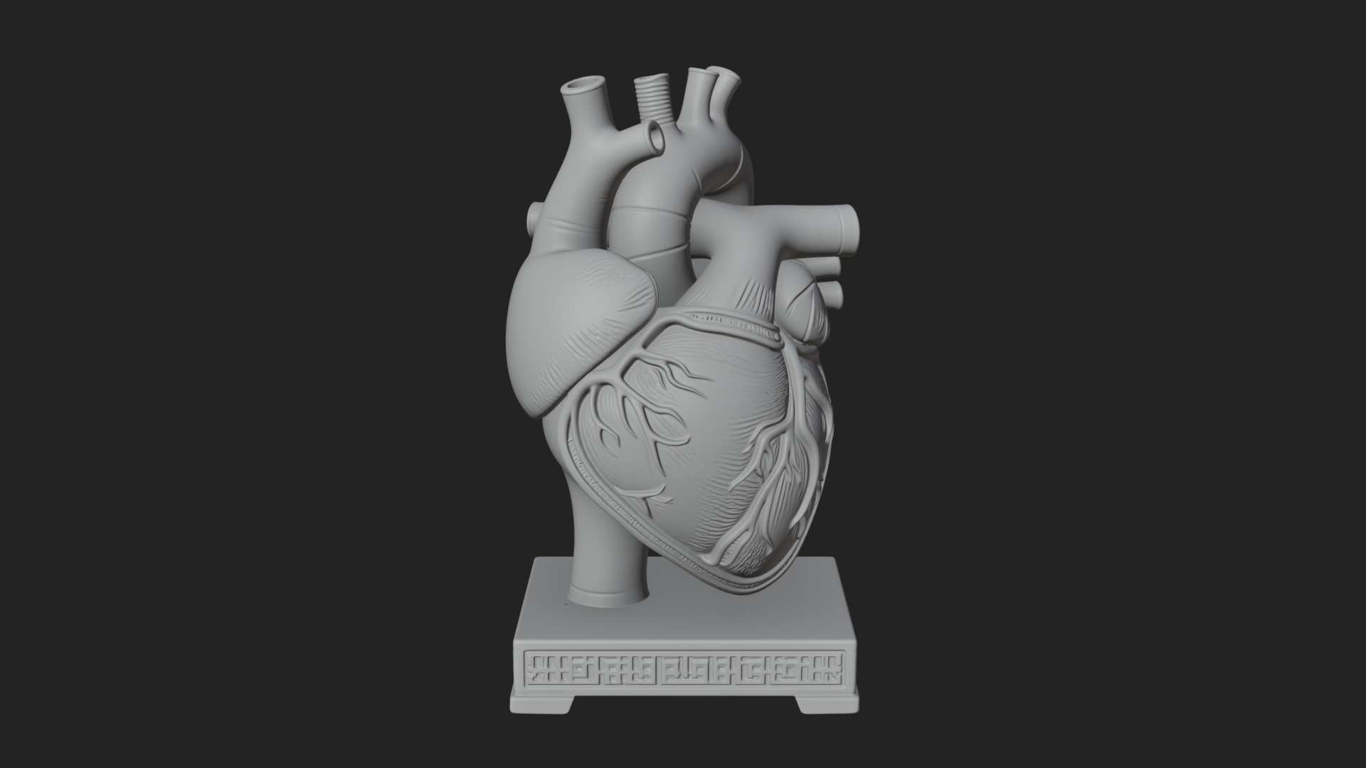 Anatomical Human Heart Model Design 50 3D Print Model 3D Model