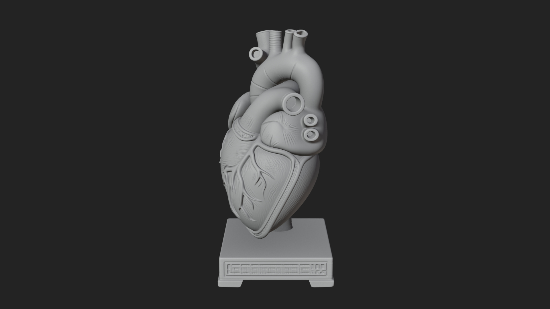 Anatomical Human Heart Model Design 50 3D Print Model 3D Model
