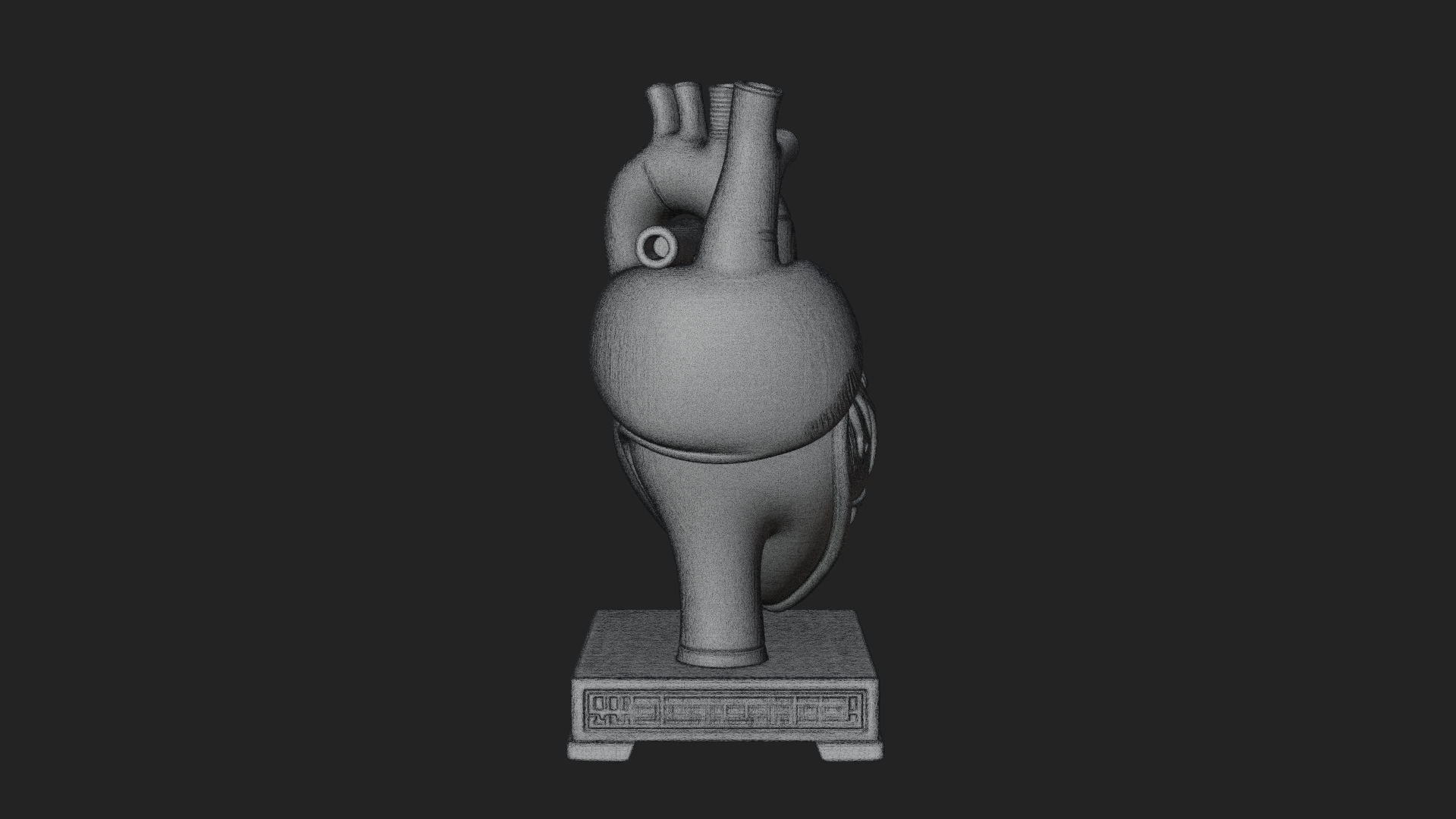 Anatomical Human Heart Model Design 50 3D Print Model 3D Model