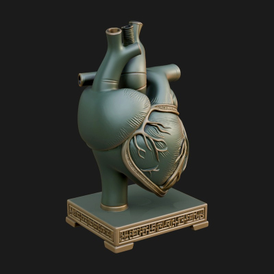 Anatomical Human Heart Model Design 50 3D Print Model