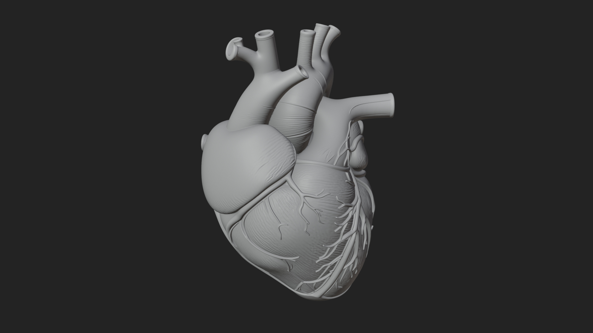 Anatomical Human Heart Model Design 8 3D Print Model 3D Model