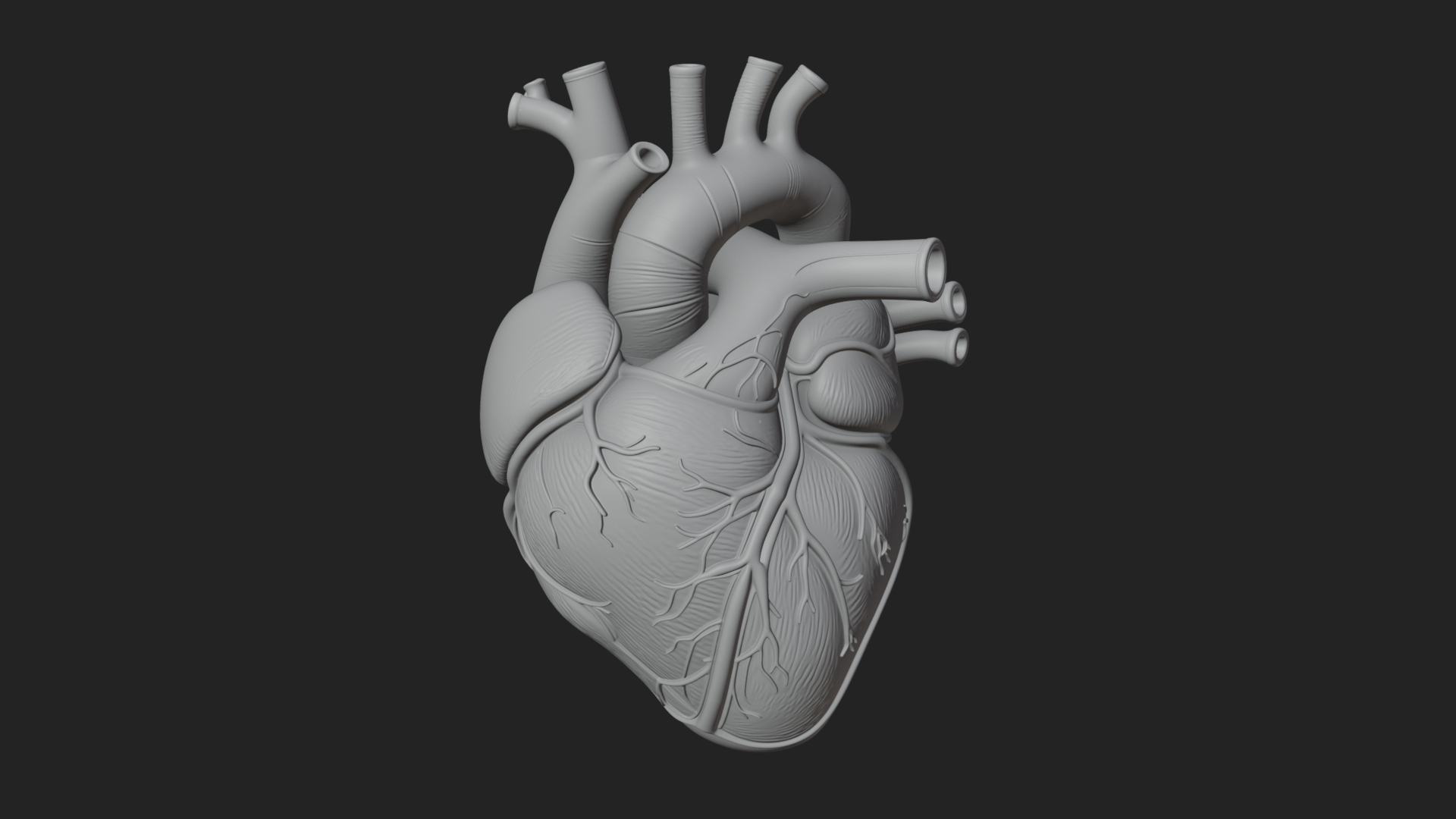 Anatomical Human Heart Model Design 8 3D Print Model 3D Model