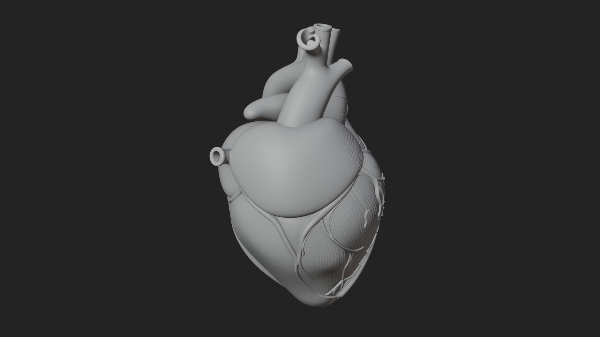 Anatomical Human Heart Model Design 8 3D Print Model 3D Model