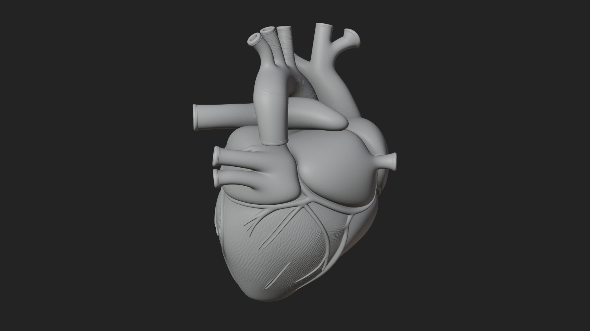 Anatomical Human Heart Model Design 8 3D Print Model 3D Model