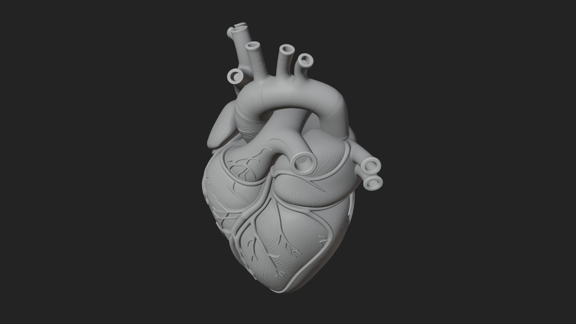 Anatomical Human Heart Model Design 8 3D Print Model 3D Model