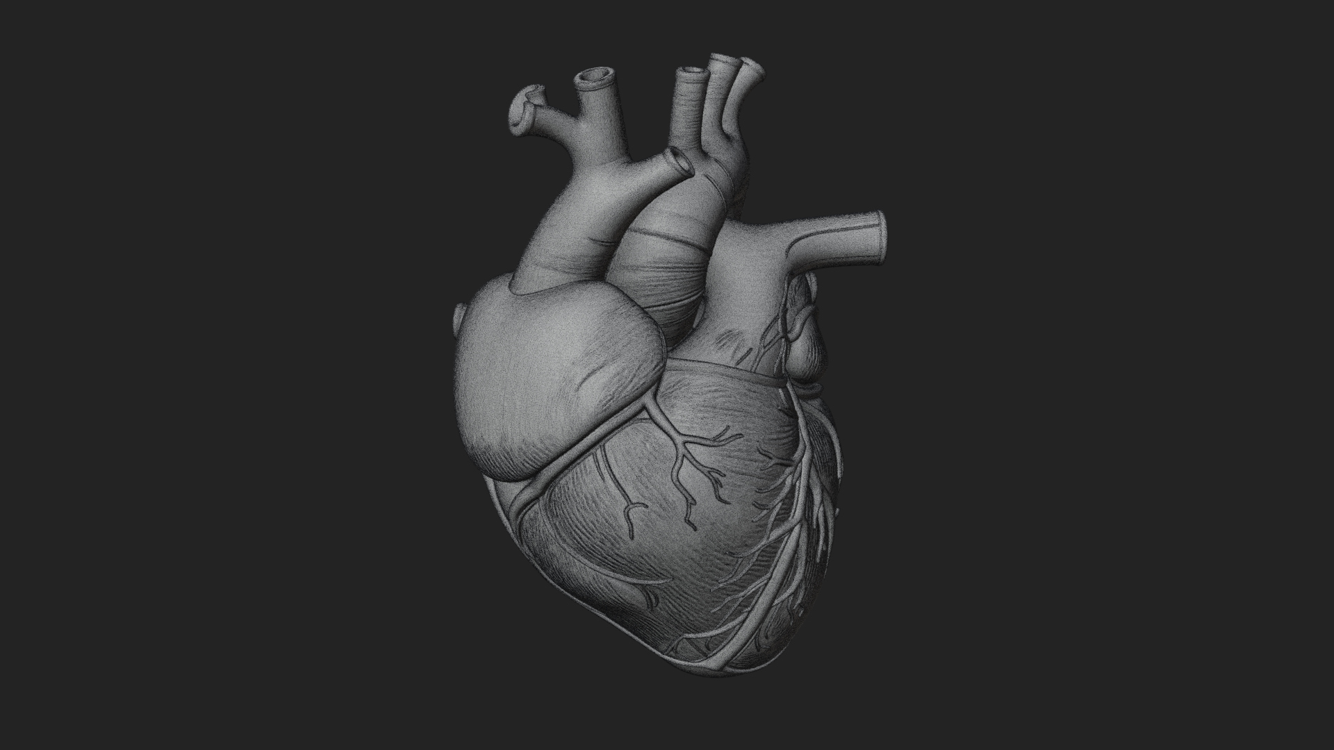 Anatomical Human Heart Model Design 8 3D Print Model 3D Model
