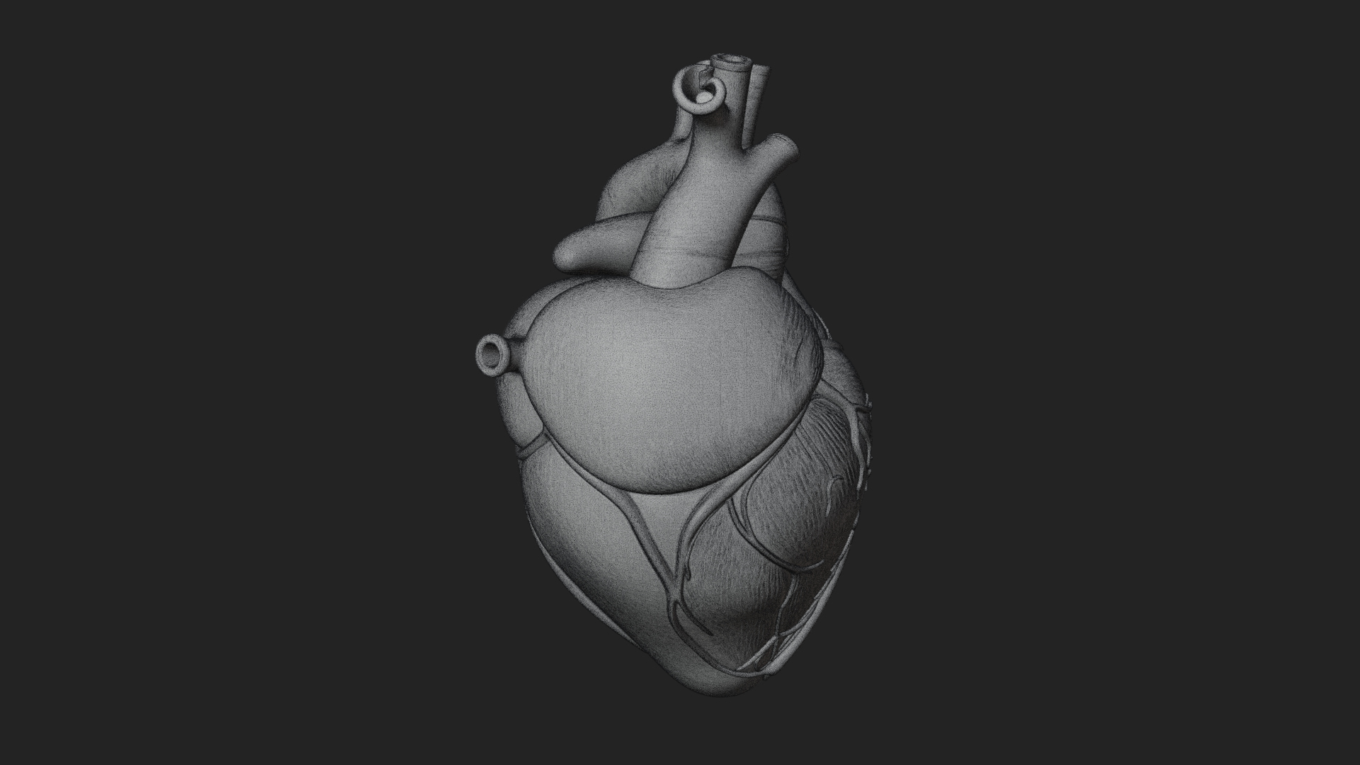 Anatomical Human Heart Model Design 8 3D Print Model 3D Model