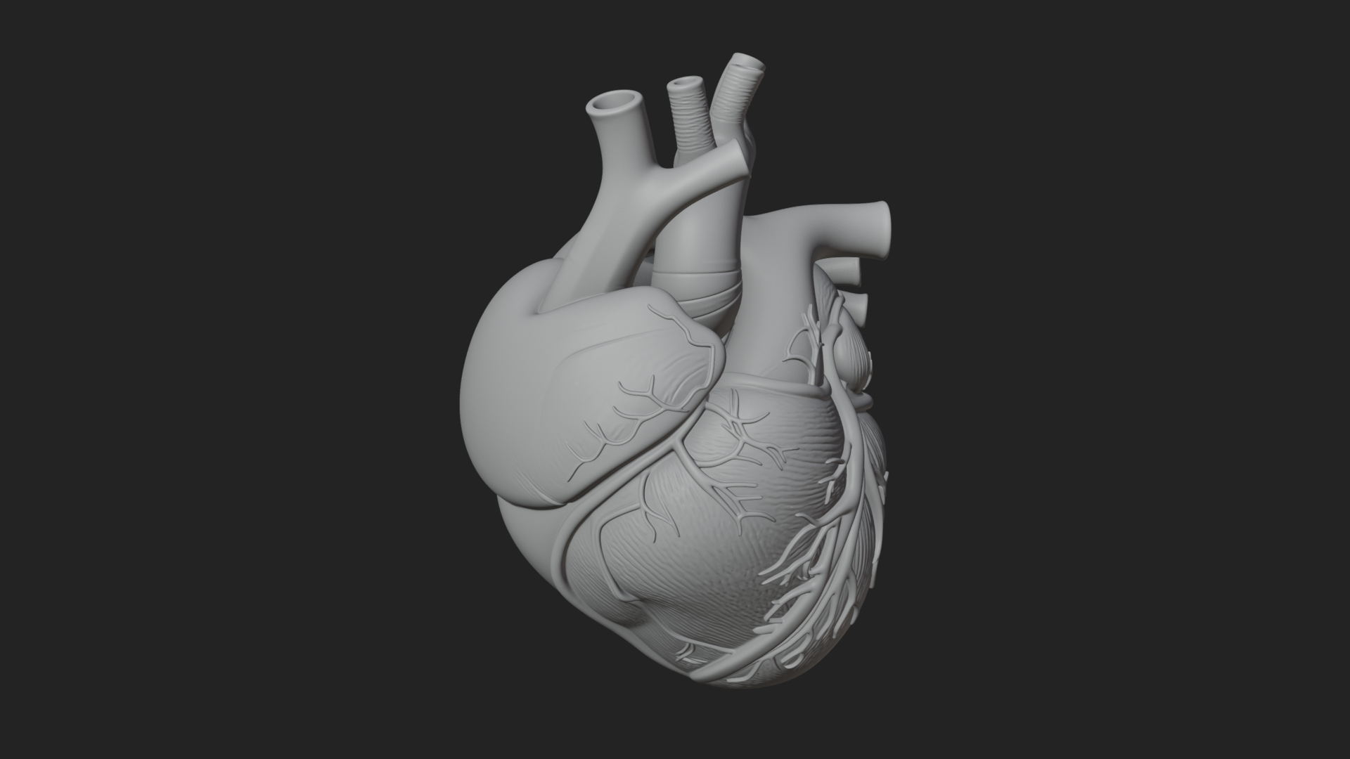 Anatomical Human Heart Model Design 9 3D Print Model 3D Model