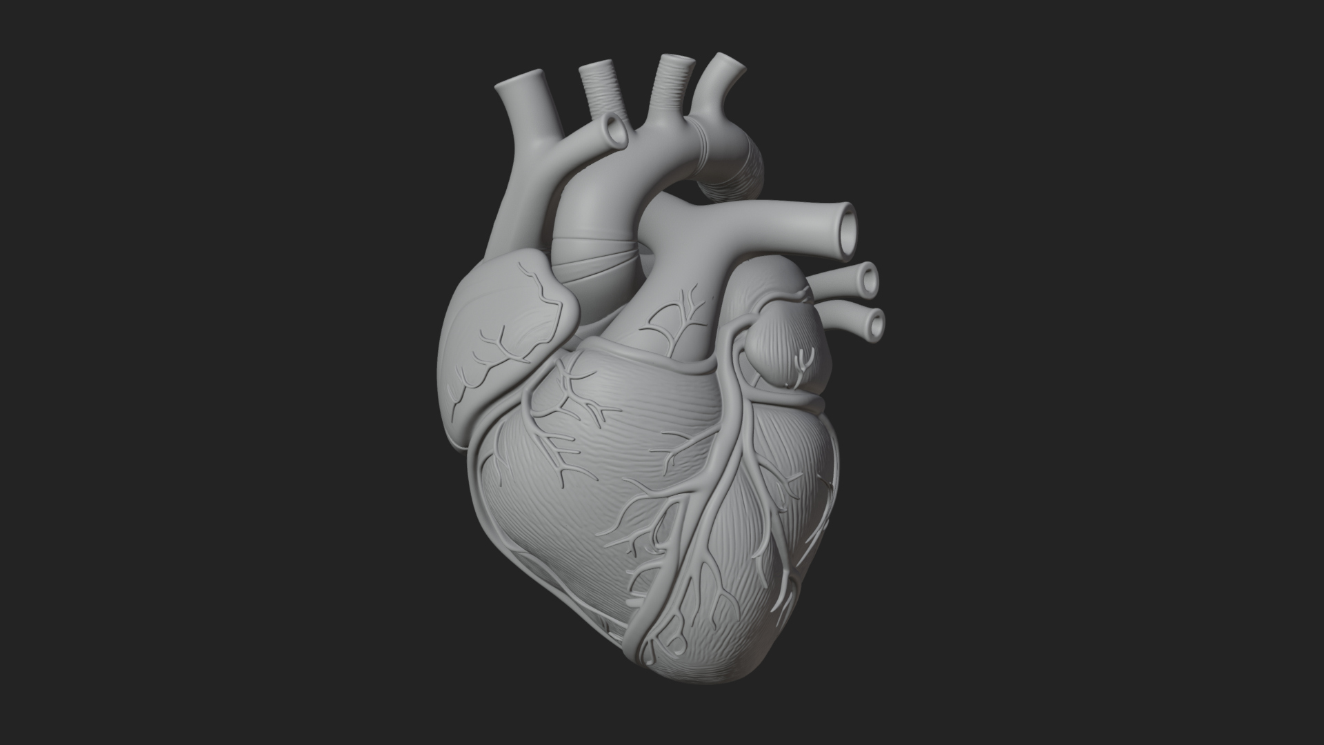 Anatomical Human Heart Model Design 9 3D Print Model 3D Model