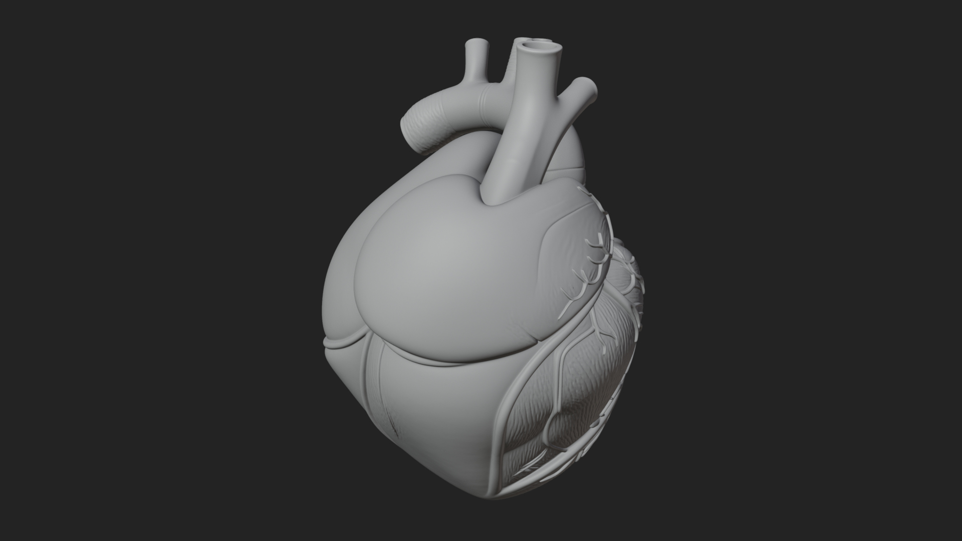 Anatomical Human Heart Model Design 9 3D Print Model 3D Model