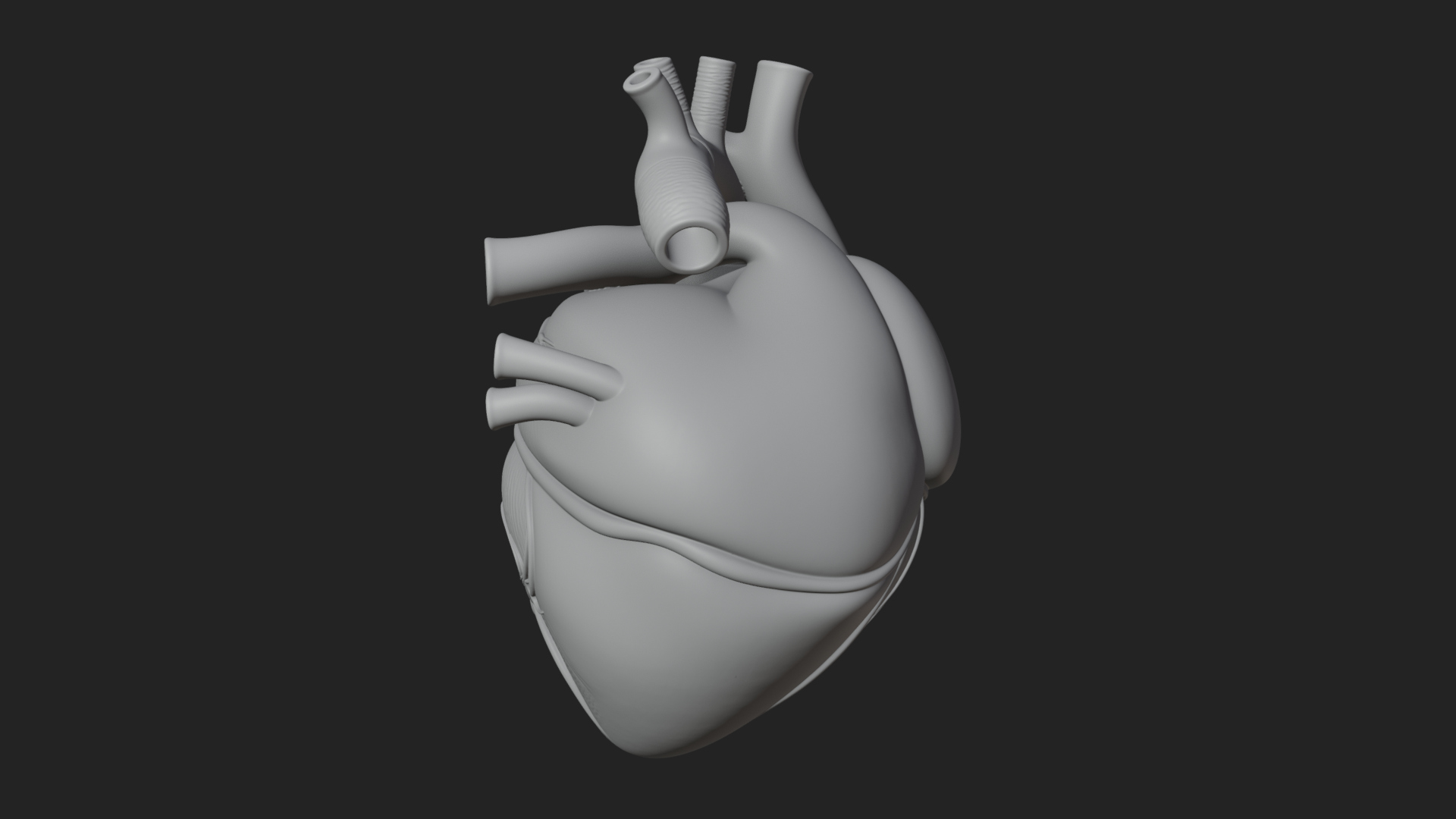 Anatomical Human Heart Model Design 9 3D Print Model 3D Model