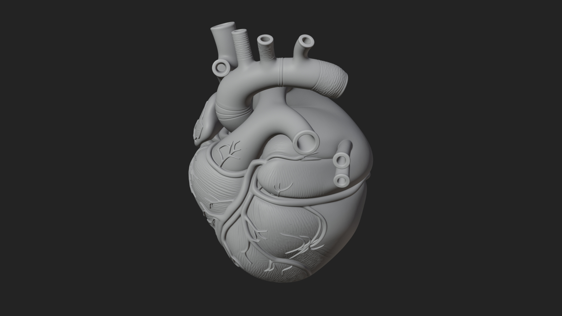 Anatomical Human Heart Model Design 9 3D Print Model 3D Model