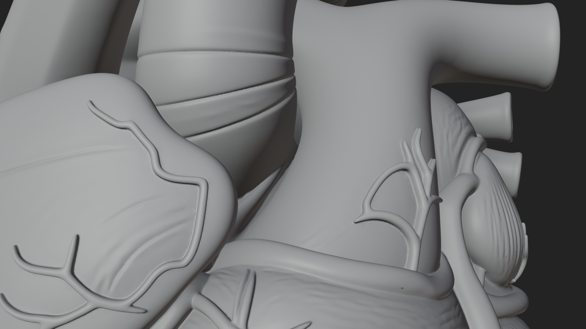 Anatomical Human Heart Model Design 9 3D Print Model 3D Model