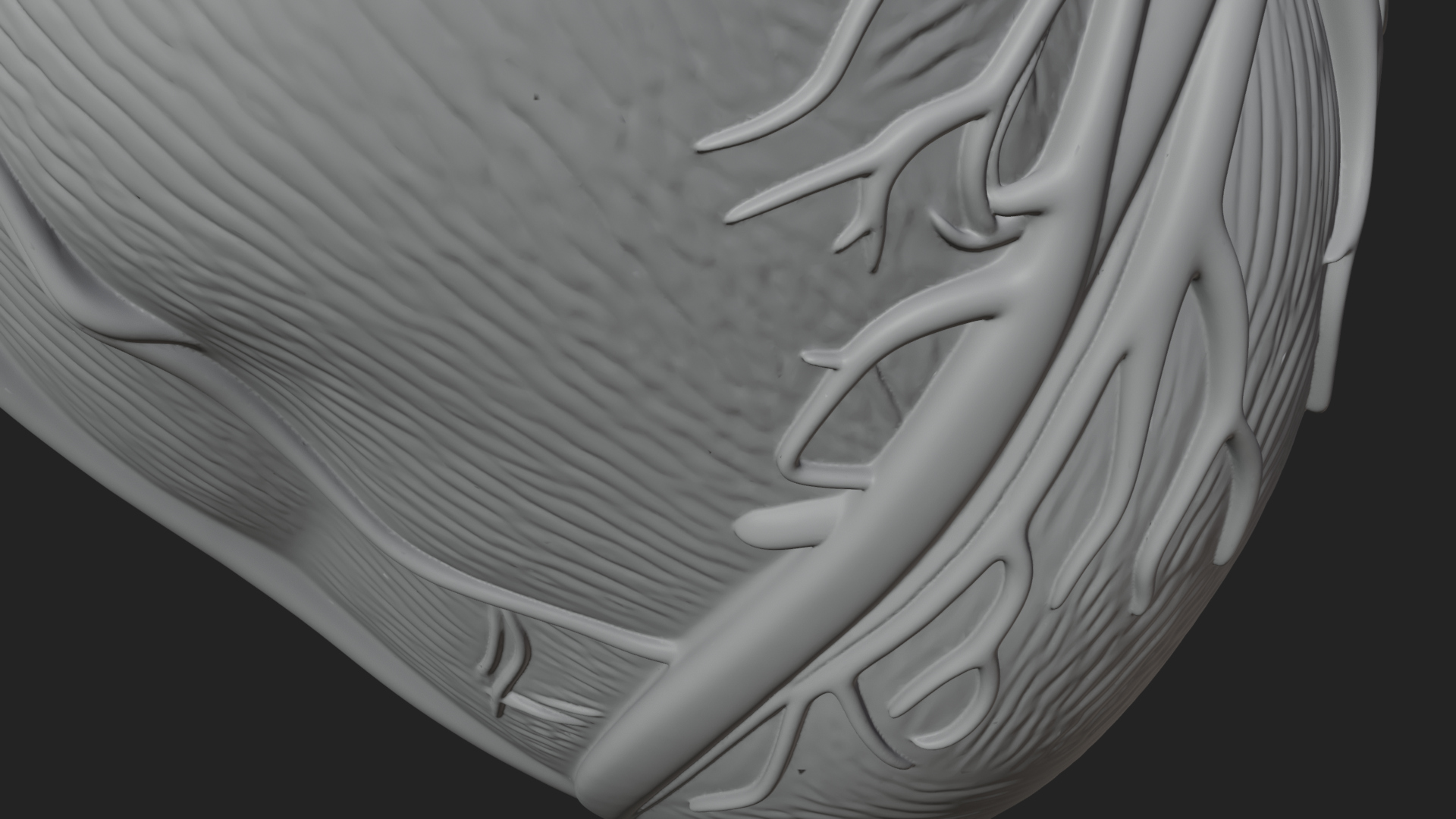 Anatomical Human Heart Model Design 9 3D Print Model 3D Model