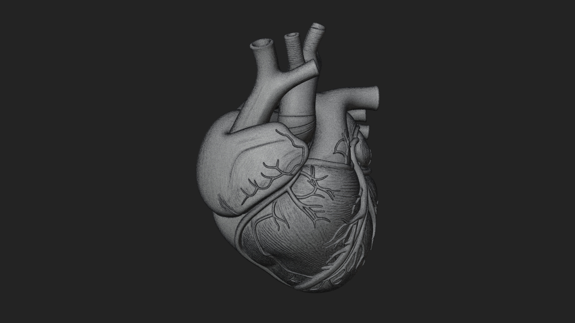 Anatomical Human Heart Model Design 9 3D Print Model 3D Model
