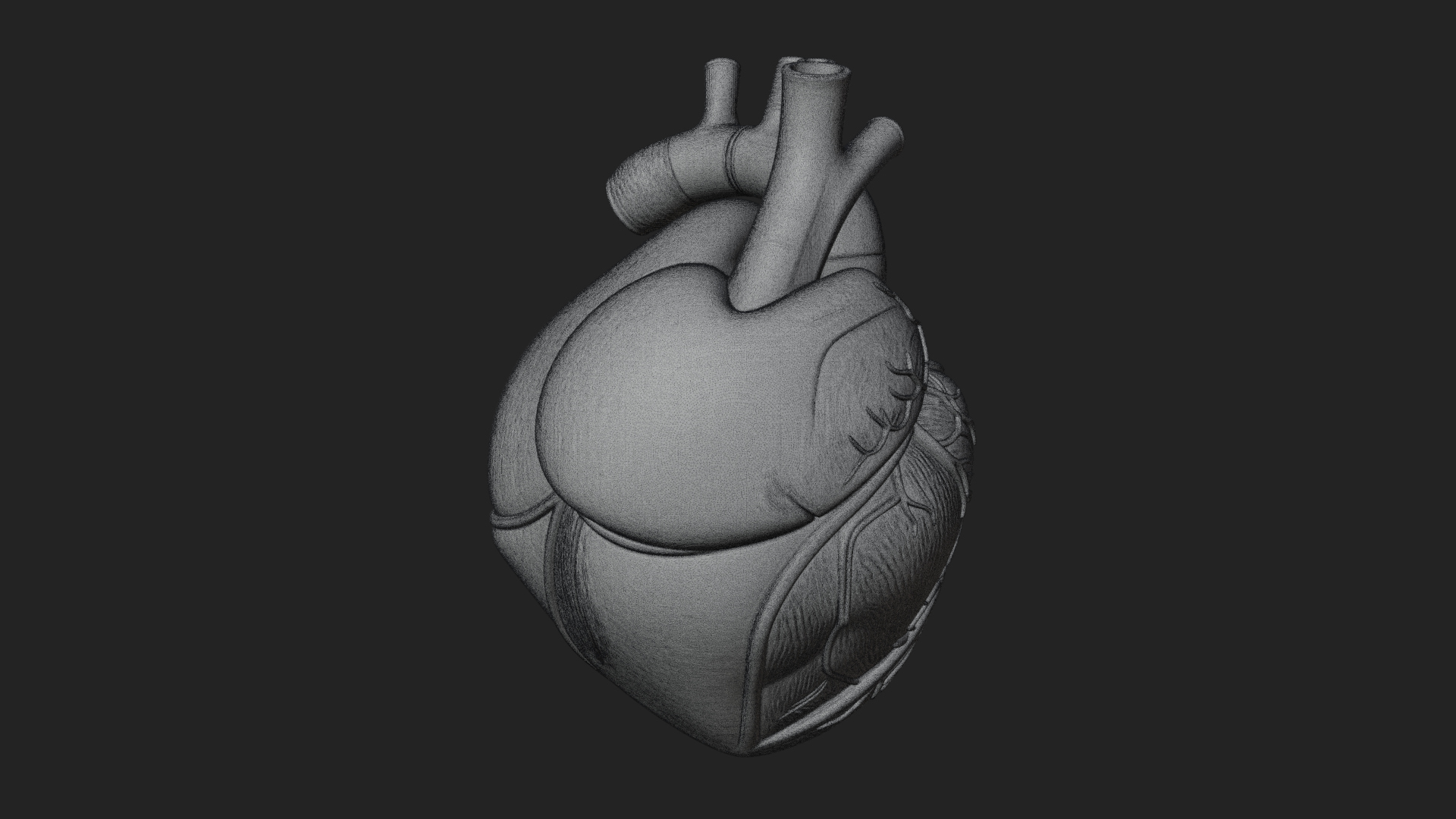 Anatomical Human Heart Model Design 9 3D Print Model 3D Model