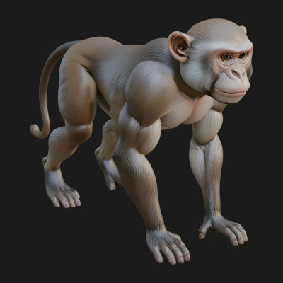 Baboon Statue Design 4 3D Print Model
