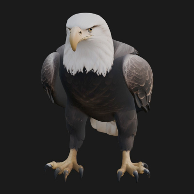 Bald Eagle Bird Statue Design 1 3D Print Model