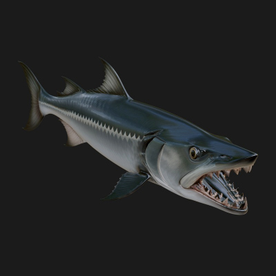 Barracuda Fish Statue Design 4 3D Print Model