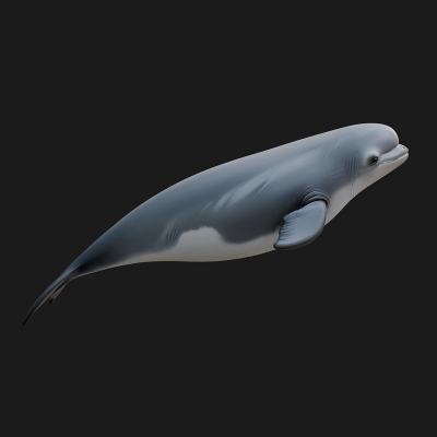 Beluga Whale Statue Design 2 3D Print Model