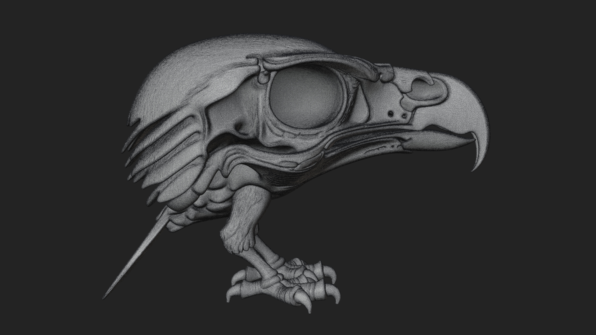 Bird Skull Statue Design 1 3D Print Model 3D Model