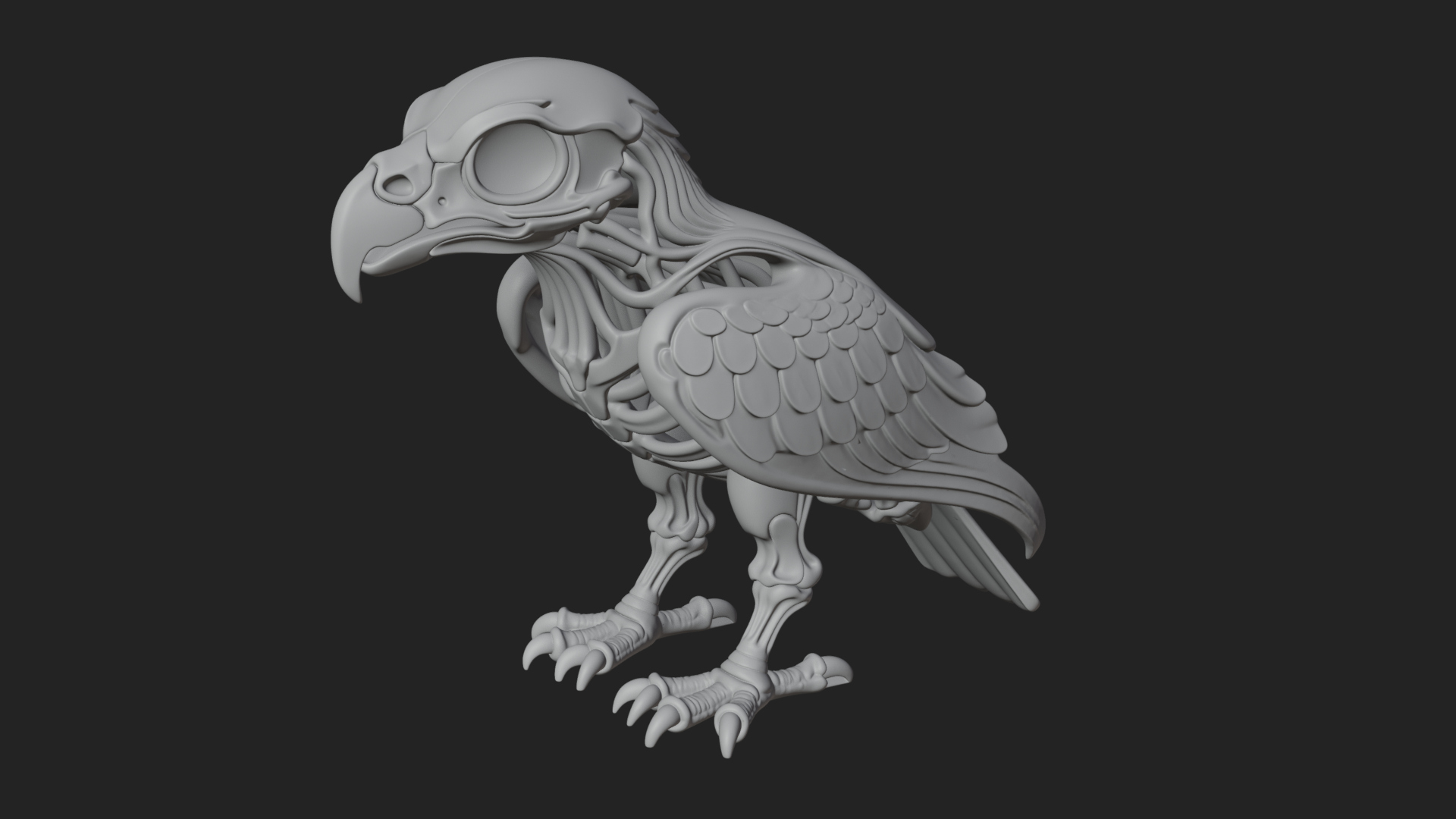 Bird Skull Statue Design 2 3D Print Model 3D Model
