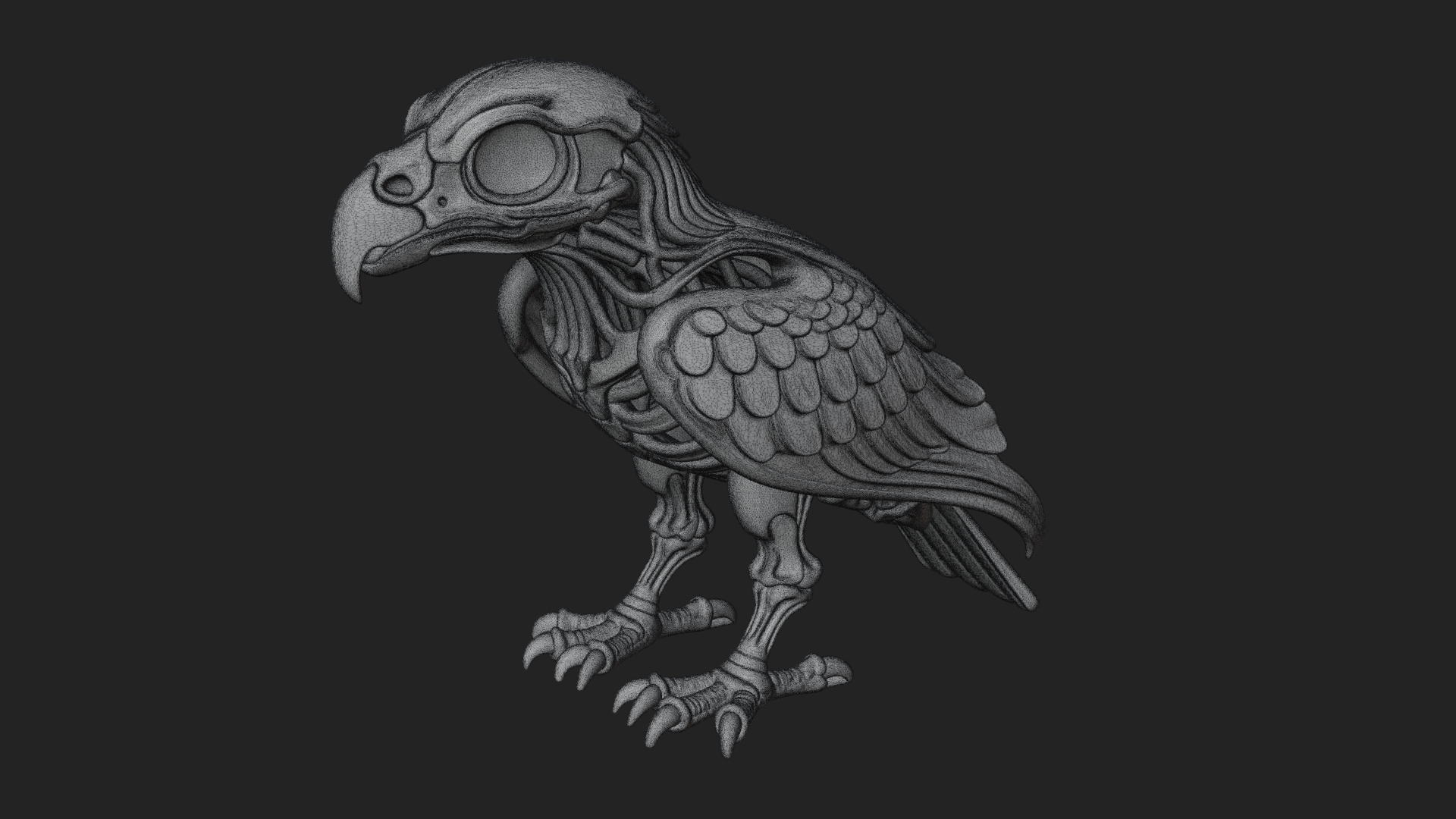 Bird Skull Statue Design 2 3D Print Model 3D Model