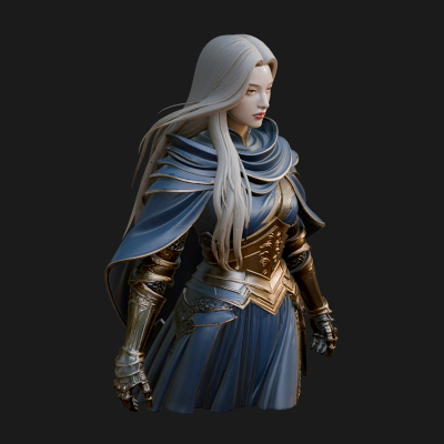 Blue Armor Lady Warrior Statue Design 1 3D Print Model
