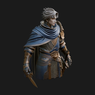 Blue Cape Knight Bust Design 2 3D Print Model