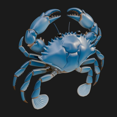 Blue Crab Statue Design 1 3D Print Model