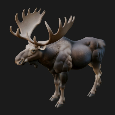 Bull Moose Statue Design 2 3D Print Model