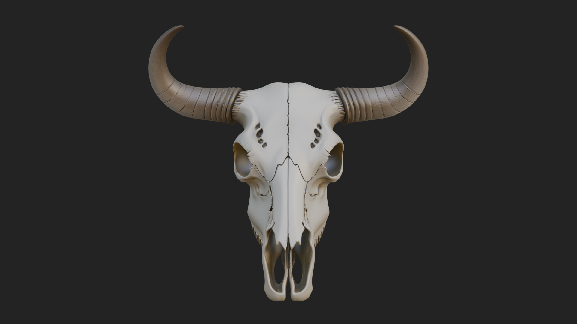Bull Skull Statue Design 2 3D Print Model 3D Model