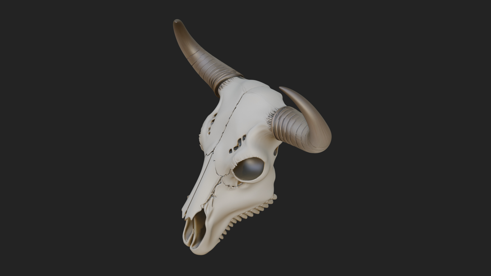 Bull Skull Statue Design 2 3D Print Model 3D Model