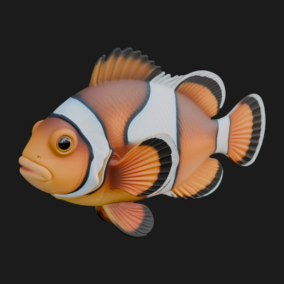 Clownfish Statue Design 3 3D Print Model
