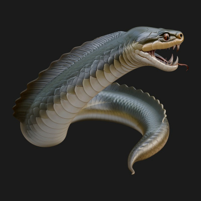 Cobra Snake Statue Design 1 3D Print Model