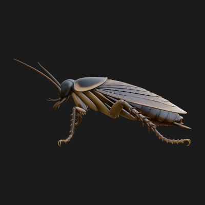 Cockroach Statue Design 3 3D Print Model
