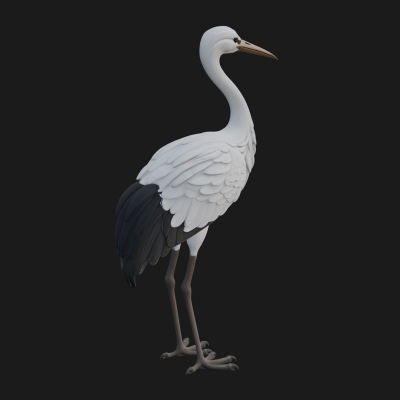 Crane Bird Statue Design 4 3D Print Model