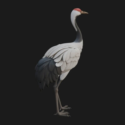 Crane Bird Statue Design 6 3D Print Model