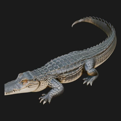 Crocodile Statue Design 3 3D Print Model