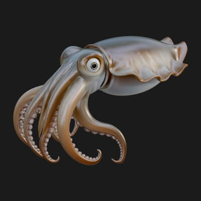 Cuttlefish Statue Design 1 3D Print Model