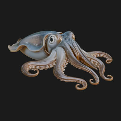Cuttlefish Statue Design 5 3D Print Model